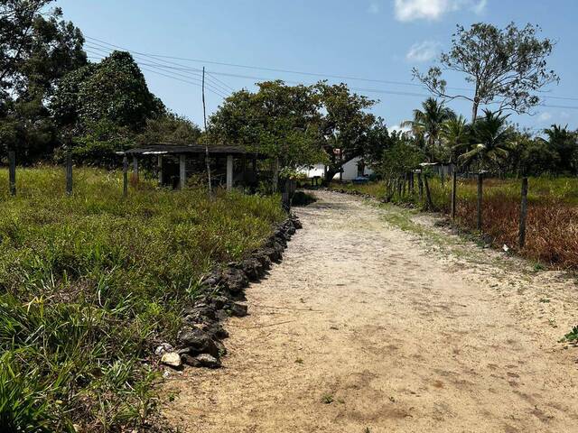 Chácara para Venda em Conde - 4