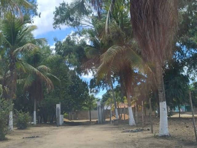 Fazenda para Venda em Conde - 2