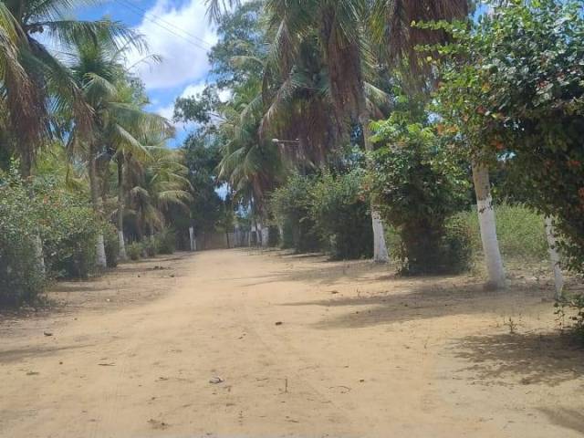 Fazenda para Venda em Conde - 3