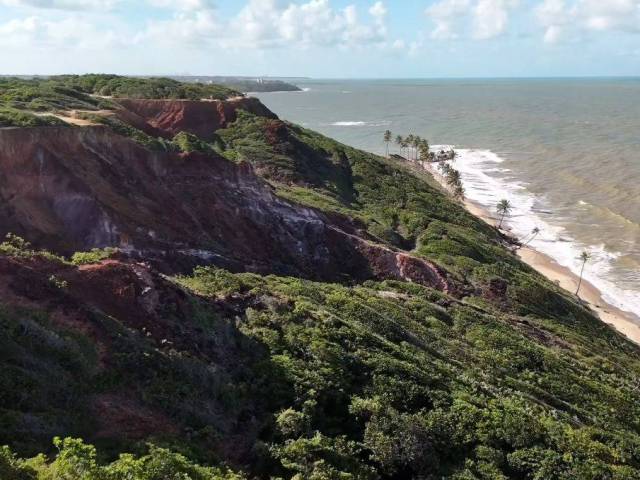 Área para Venda em Conde - 2